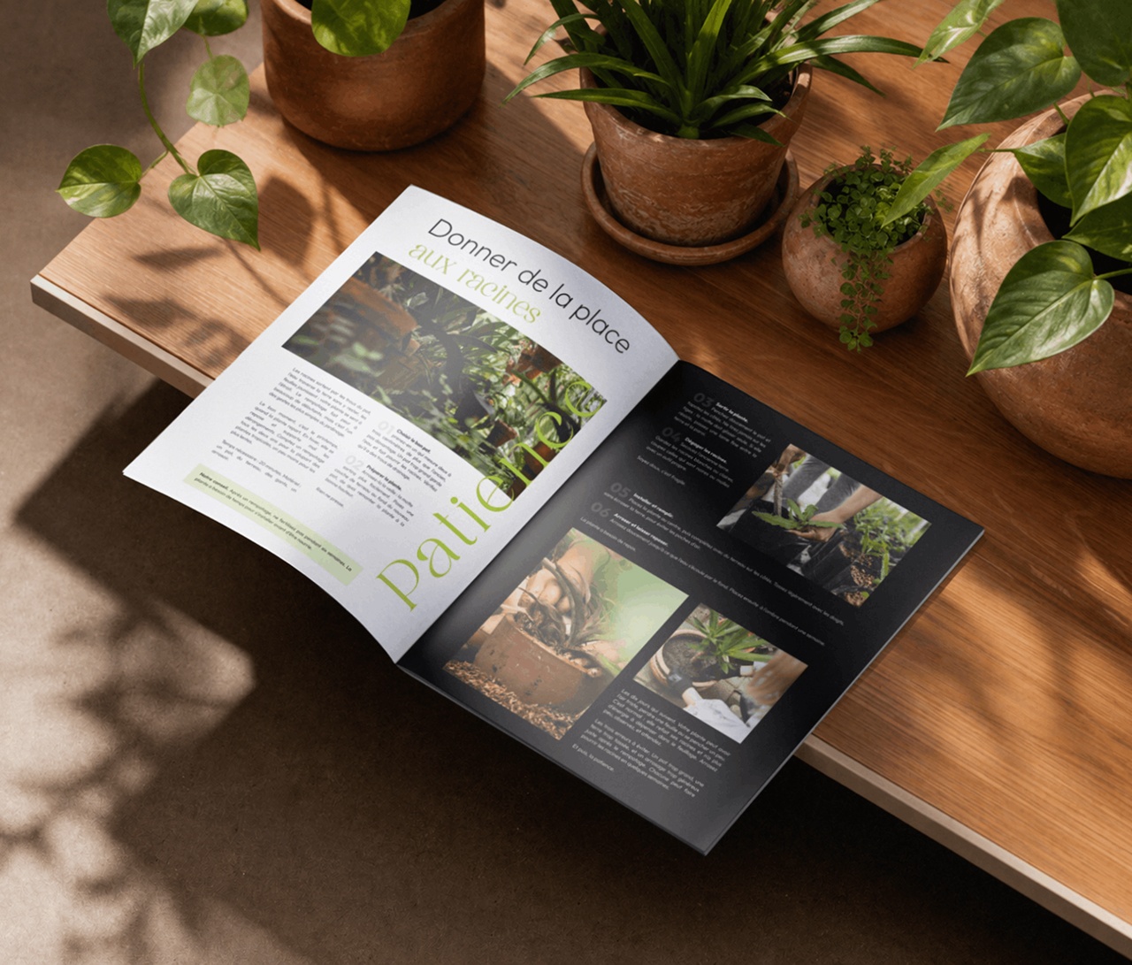 realisation-12-print-tropica — visuel 7